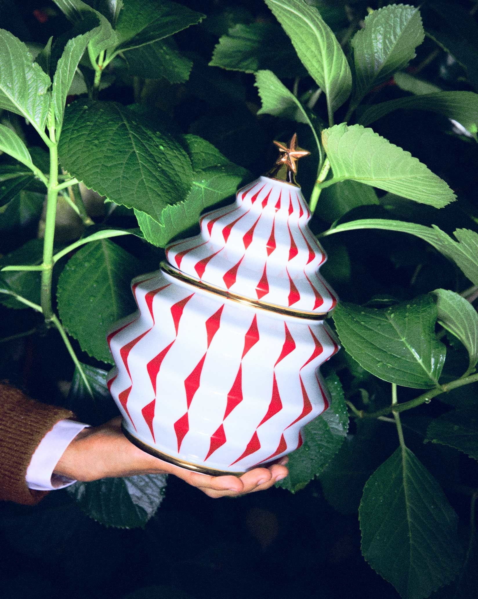 Delight - Image 2